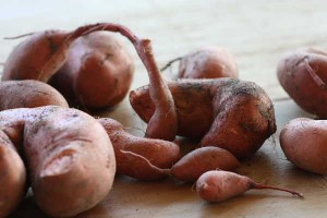 sweet-potatoes-for-site