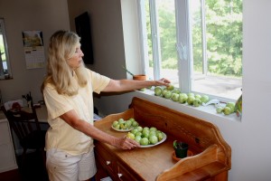 Amanda routinely picks tomatoes before they ripen. We'd love to let them ripen on the vine, but that's happening so slowly in the heat that the bugs would get them first.